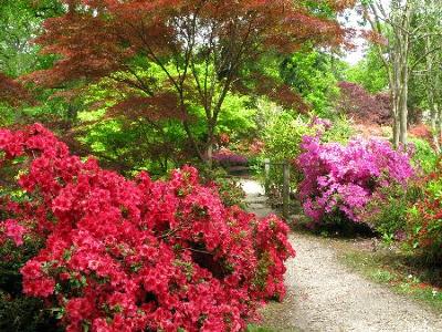 amlwch gardens